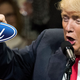 Photo Credits: Getty Images (Trump), Ford